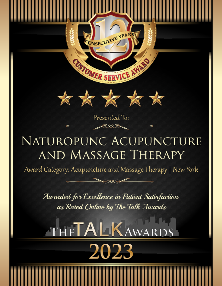 Naturopunc Acupuncture and Manual Therapy Logo