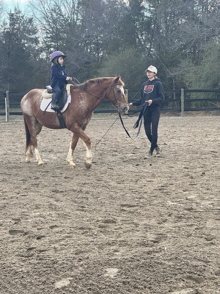 Wonder Horse Academy - equestrian in Collierville, TN