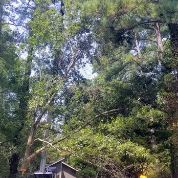 Youngs Tree Tech - Tree Services Near Me - Raleigh, North Carolina