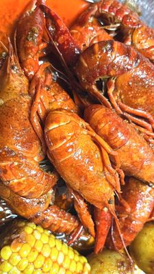 Crabbers Port Richey by null