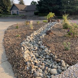 River bed River bed