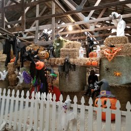 Halloween approaches