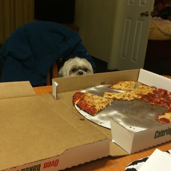 Massey's Pizza - Whitehall - Gracie drove from Chicago to have Massey's Pizza! - Pizza Near Me - Whitehall, Ohio Massey's Pizza - Whitehall - Gracie drove from Chicago to have Massey's Pizza! - Pizza Near Me - Whitehall, Ohio