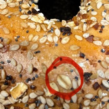 H & H Bagels - Oats on an Everything Bagel? Sorry, Oats, "I can't go for that." - Bagels Near Me - Santa Monica, California H & H Bagels - Oats on an Everything Bagel? Sorry, Oats, "I can't go for that." - Bagels Near Me - Santa Monica, California