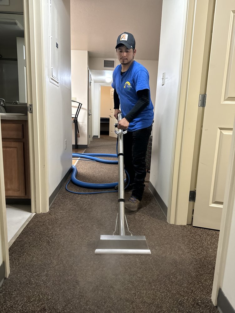 PRISTINE JANITORIAL SERVICES Updated September 2024 78 Photos 3008 Lower Huntington Rd