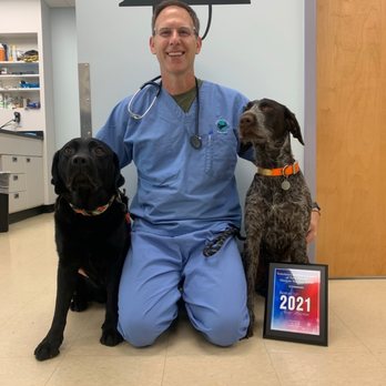 Veterinary Wellness Center - Best Vet in CT!!! - Veterinarians Near Me - New Haven, Connecticut Veterinary Wellness Center - Best Vet in CT!!! - Veterinarians Near Me - New Haven, Connecticut
