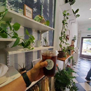 Wolf's Brew Coffee - Cold brew, baby! - Coffee & Tea Near Me - Long Beach, California
