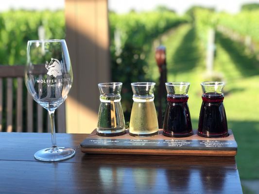 Wölffer Estate Vineyard by null