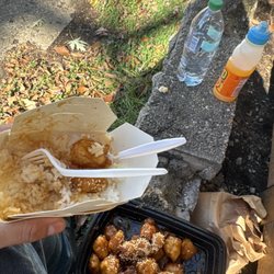Xin Wong - C1. Sesame Chicken