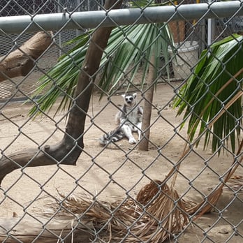 Wildlife Learning Center - Zoos Near Me - Sylmar, California Wildlife Learning Center - Zoos Near Me - Sylmar, California