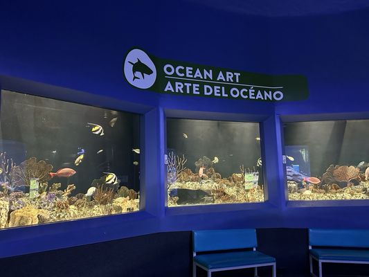 OdySea Aquarium by null