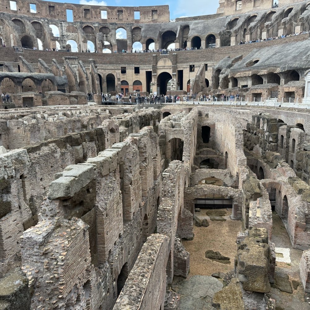 Colosseo - Interior - Local Flavor Near Me - Rome, RM