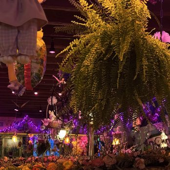 Filomena Ristorante - Italian Near Me - Washington, DC, District of Columbia