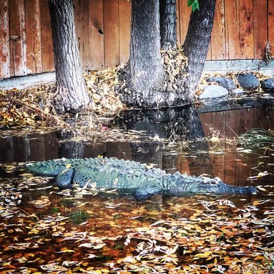 Miracle Hot Springs by null