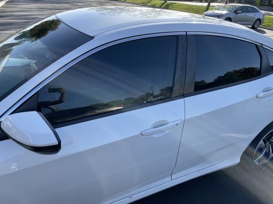 Jet Black Tint Fremont