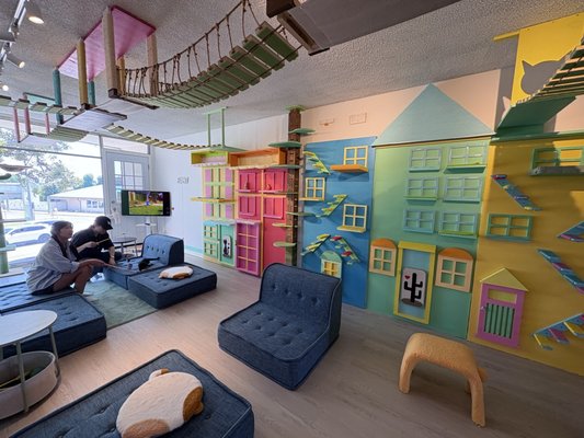 Meows Rakuen by null