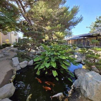 Pine Wind Garden - Botanical Gardens Near Me - Torrance, California