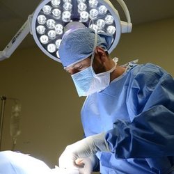 LeadER Animal Specialty Hospital