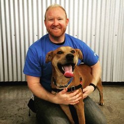 Good Dog Training - Always looking out for shelter dogs. Fun Fact, did you know shelter dog is the state dog of CO.?