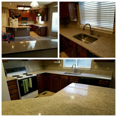 Counter Culture by null