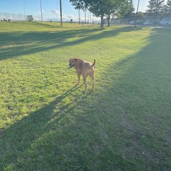 Falconridge Off Leash Area - Falconridge dog park in ne