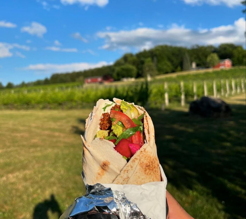 Food from The Shawarma Truck