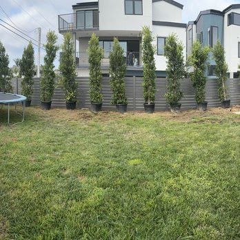The Standard Design Group - Nurseries & Gardening Near Me - Vista, California The Standard Design Group - Nurseries & Gardening Near Me - Vista, California