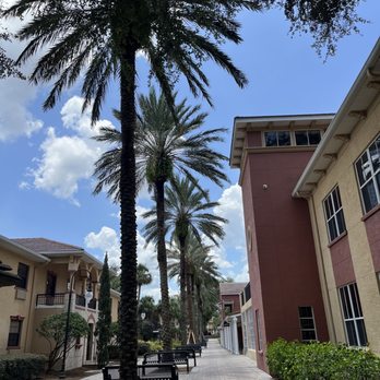 Southeastern University - Colleges & Universities Near Me - Lakeland, Florida Southeastern University - Colleges & Universities Near Me - Lakeland, Florida