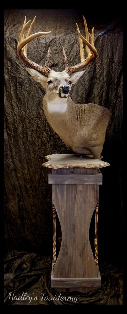 Hadley's Taxidermy & Deer Processing - taxidermy in Pine Mountain Valley, GA