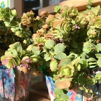 Central Market - Gorgeous oregano - Grocery Near Me - Houston, Texas