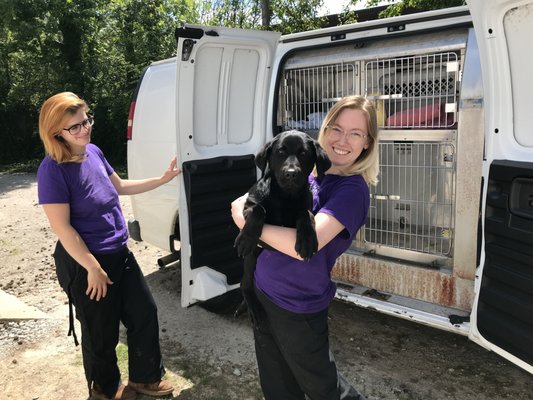 SPCA of Wake County by null