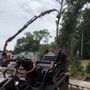 Integrity Tree Services