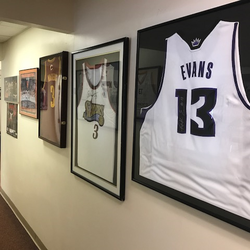 All-Pro Chiropractic - All Pro's Hall of Fame
