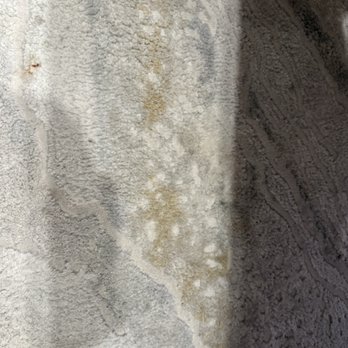 Bali Hai Beach Resort - Living room carpet (large area rug) quite dirty - Hotels Near Me - Holmes Beach, Florida