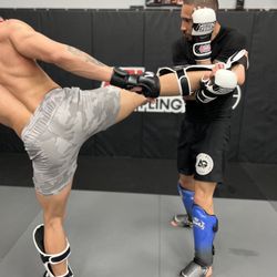 Atlas Grappling - Adult Striking