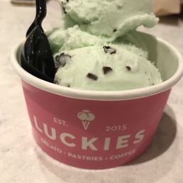Mint chocolate chip gelato....excellent!