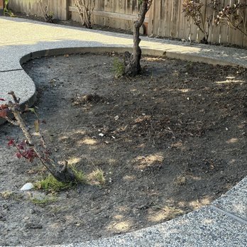 Josue Tree service - Tree Services Near Me Josue Tree service - Tree Services Near Me