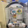 Olathe Pet Shop