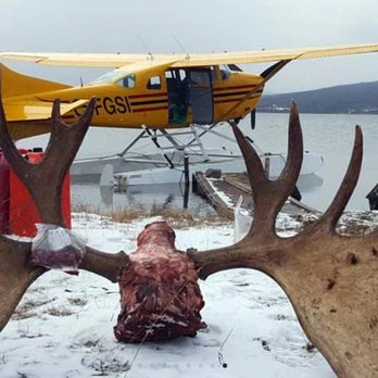 Alpine Aviation - Photo - Hiking Near Me - Whitehorse, Yukon Alpine Aviation - Photo - Hiking Near Me - Whitehorse, Yukon