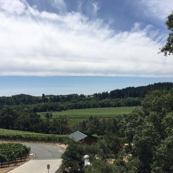 Williams Selyem Winery - Wineries Near Me - Healdsburg, California