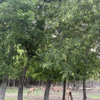 Woodcrest Park - Parks Near Me - Live Oak, Texas Woodcrest Park - Parks Near Me - Live Oak, Texas