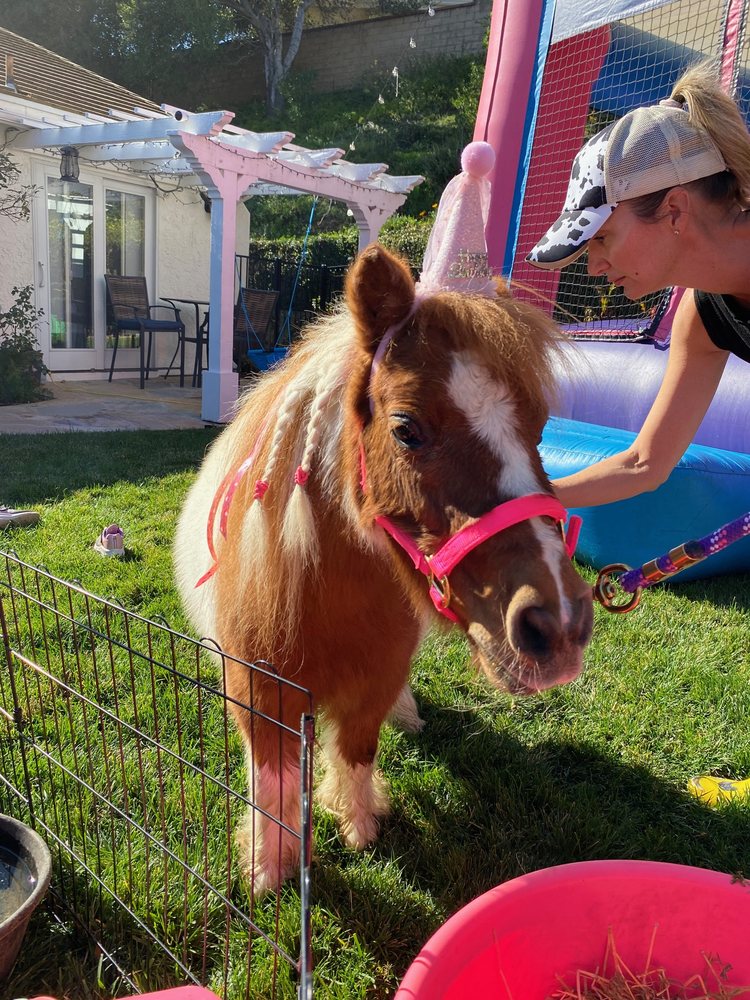 THE MINI BARN Updated September 2024 Thousand Oaks, California