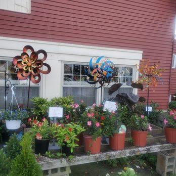 Windsor's Flowers, Plants, & Shrubs - Florists Near Me - Rehoboth Beach, Delaware Windsor's Flowers, Plants, & Shrubs - Florists Near Me - Rehoboth Beach, Delaware