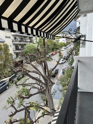 Montrose at Beverly Hills by null