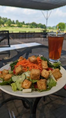 The Black Twig by null