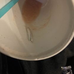 Trash in my smoothie!