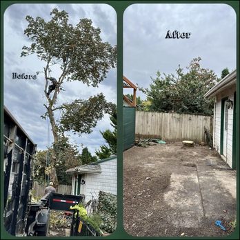 R&A Landscape & Tree Service - before and after - Landscaping Near Me R&A Landscape & Tree Service - before and after - Landscaping Near Me