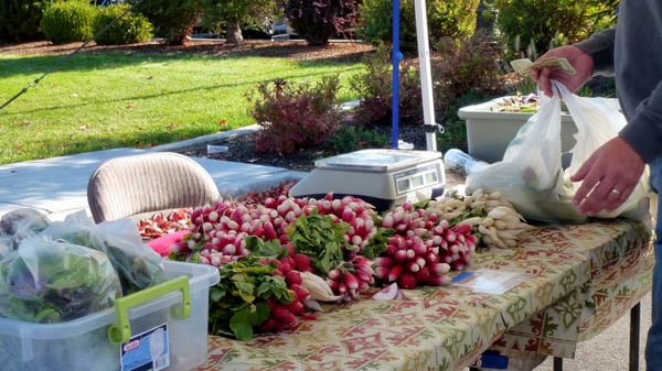 Liberty Lake Farmers Market by null