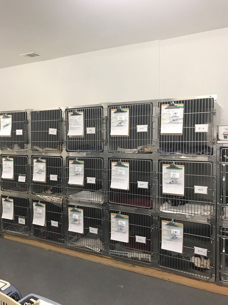 SPCA OF LAKE COUNTY Updated October 2024 8025 Highway 29