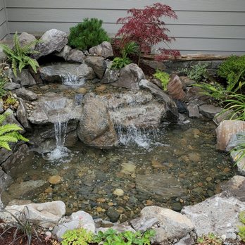 New Terra Landscape & Design - Waterfall and pond with different plants, trees and shrubs. - Landscape Architects or Designers Near Me - Yacolt, Washington New Terra Landscape & Design - Waterfall and pond with different plants, trees and shrubs. - Landscape Architects or Designers Near Me - Yacolt, Washington